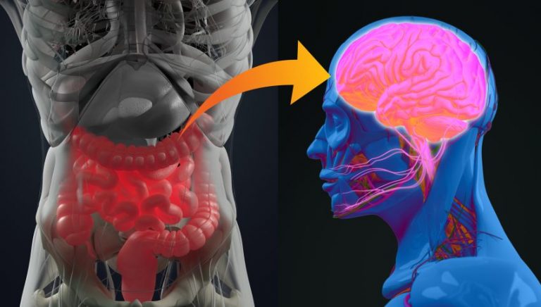 Tulburările cognitive și balonarea constantă - o legătură pusă pe seama „psihobiomului”