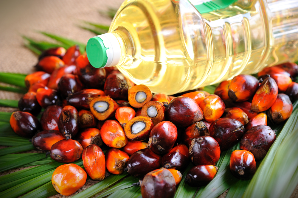 The Dangers of Palm Oil and its Impact on Cholesterol Levels