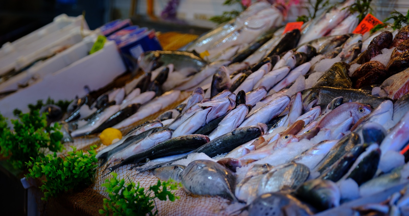 Acesta e cel mai sănătos pește din lume. Costă doar 20 lei/kg în supermarketurile din România